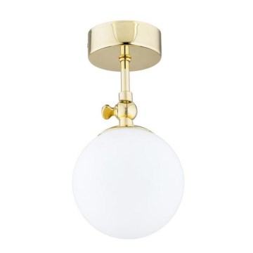 Argon 4001 - Lustră aplicată pentru baie LATINA 1xE14/40W/230V IP44