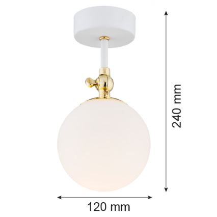 Argon 4002 - Plafonieră aplicată pentru baie LATINA 1xE14/7W/230V IP44 alb/auriu