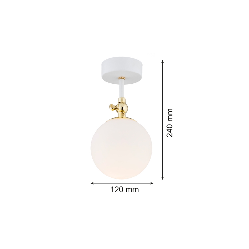 Argon 4002 - Plafonieră aplicată pentru baie LATINA 1xE14/7W/230V IP44 alb/auriu