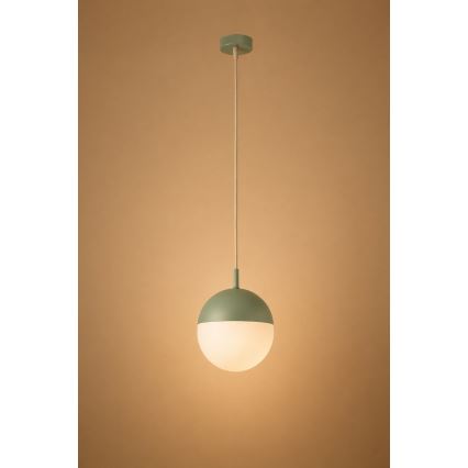 Argon 8999 - Lampă suspendată de exterior pe cablu LIV, 1xE27/15W/230V, IP44, verde