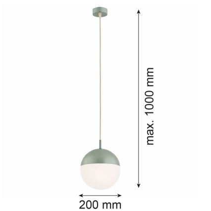 Argon 8999 - Lampă suspendată de exterior pe cablu LIV, 1xE27/15W/230V, IP44, verde