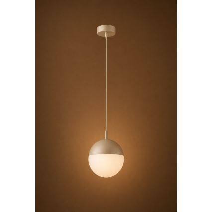 Argon 9001 - Lampă suspendată de exterior pe cablu LIV 1xE27/15W/230V IP44 bej
