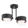 Argon - Sticlă de schimb pentru lustră MASSIMO PLUS G9
