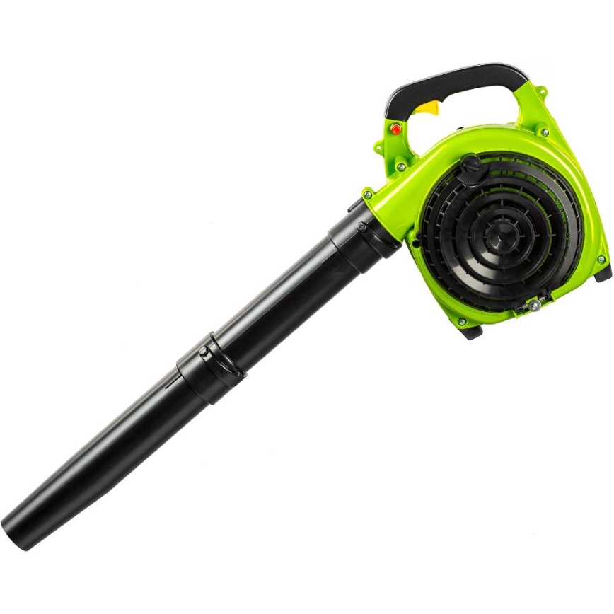 Aspirator de grădină pe benzină Fieldmann 800W