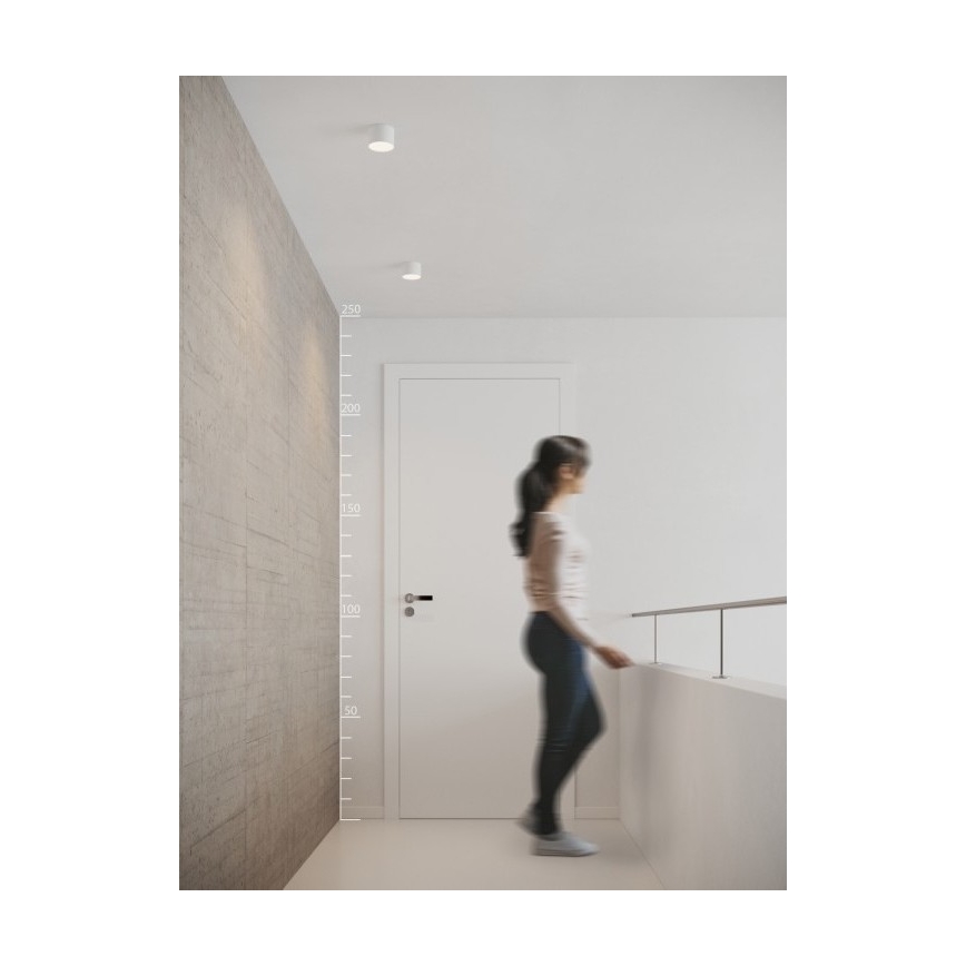 Azzardo AZ2252 - Plafonieră LED MONZA/5W/230V