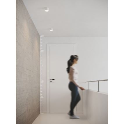 Azzardo AZ2253 - Plafonieră LED MONZA 1xLED/5W/230V