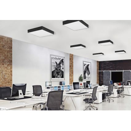 Azzardo AZ2275 - Plafonieră LED MONZA SQUARE LED/50W/230V