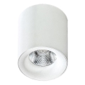 Azzardo AZ2845 - Plafonieră LED MANE, 10W, 230V