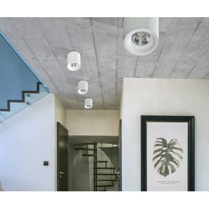 Azzardo AZ2845 - Plafonieră LED MANE, 10W, 230V