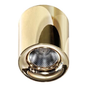 Azzardo AZ2846 - Plafonieră LED MANE/10W/230V