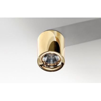 Azzardo AZ2846 - Plafonieră LED MANE/10W/230V