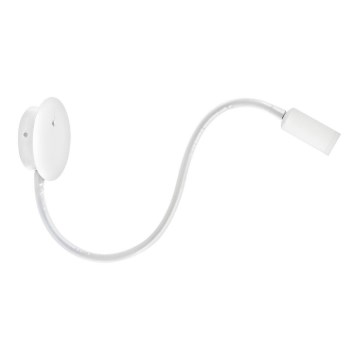 Azzardo AZ2944 - Spot LED de perete NOGAT, 3W/230V