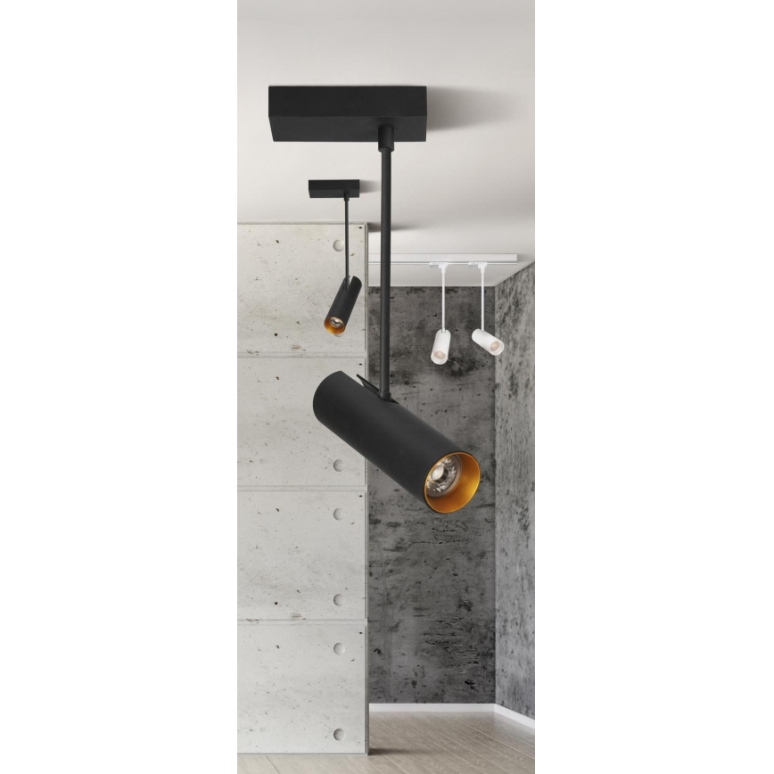 Azzardo AZ3521 - Lustră pe tijă LENS 2xGU10/35W/230V