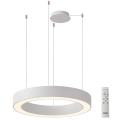 Azzardo AZ5052 - Lustru LED dimabil suspendat pe cablu MARCO LED/100W/230V alb + telecomandă