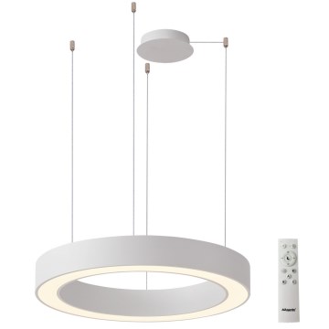 Azzardo AZ5052 - Lustru LED dimabil suspendat pe cablu MARCO LED/100W/230V alb + telecomandă