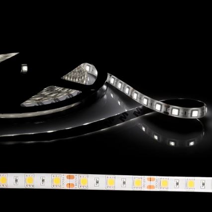 Banda LED 5m 28W/12V IP65 6500K