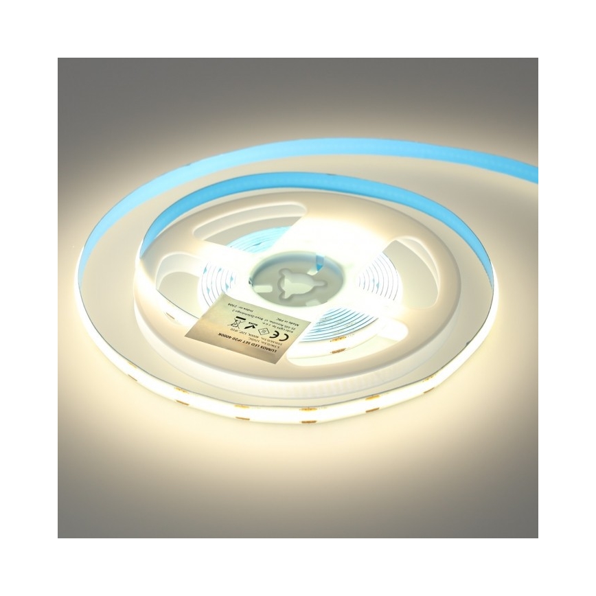 Bandă LED dimabilă LED/25W/230V 3m 4000K