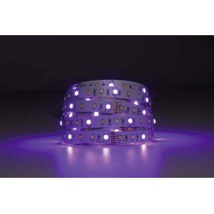 Bandă LED RGBW dimabilă 5m LED/11W/12/230V 2700-6500K ZigBee Eglo