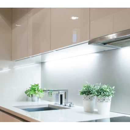 Bandă LED TRAMO, 500 W, 12 V, 50 m, 6500 K