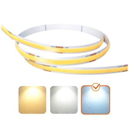 Bandă LED TRAMO pentru exterior, 50 W, 24 V, 5 m, IP65, 6500 K