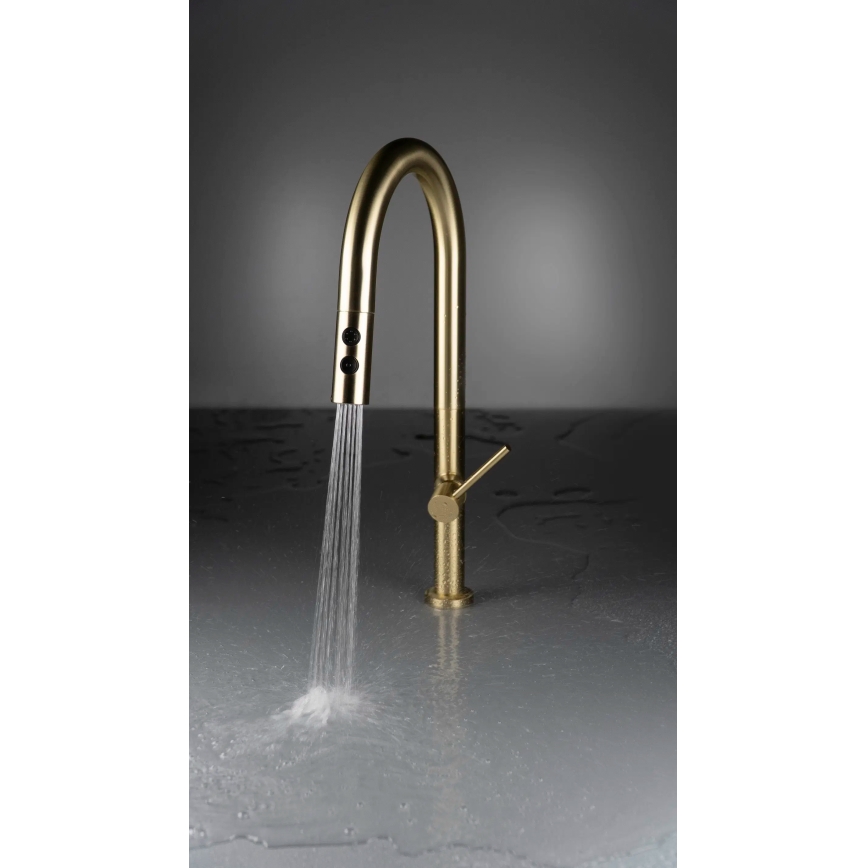 Baterie de chiuvetă cu cap de duș detașabil Deante BQO_R72M OLFATO auriu periat