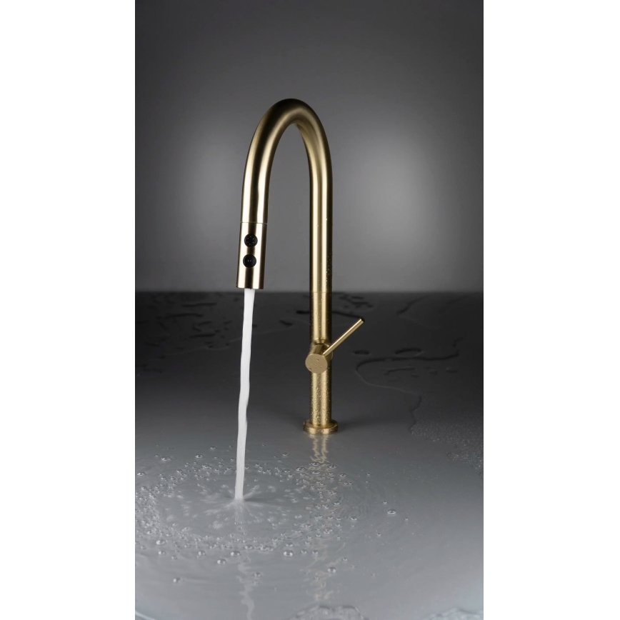 Baterie de chiuvetă cu cap de duș detașabil Deante BQO_R72M OLFATO auriu periat