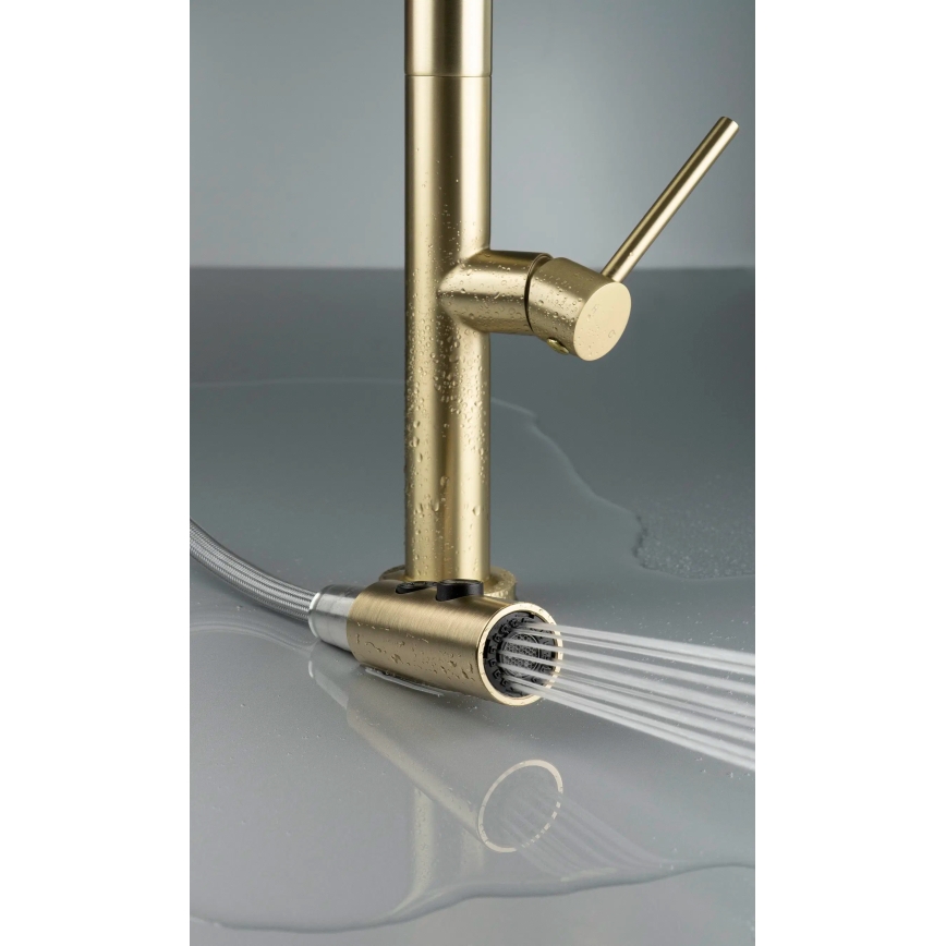 Baterie de chiuvetă cu cap de duș detașabil Deante BQO_R72M OLFATO auriu periat