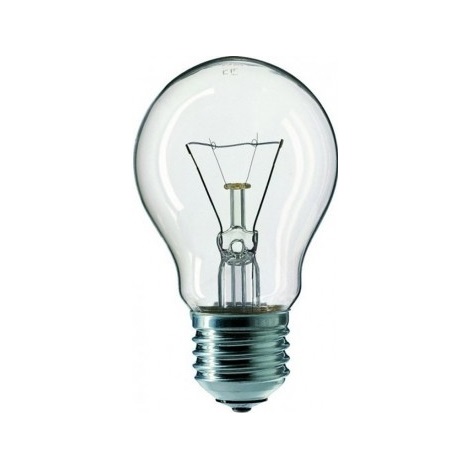 Bec industrial CLEAR E27/100W/240V