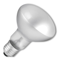 Bec industrial Ecolite E14/40W/230V 2700K