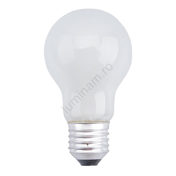Bec industrial FROSTED E27/25W/230V | Luminam