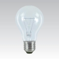 Bec industrial special E27/100W/24V