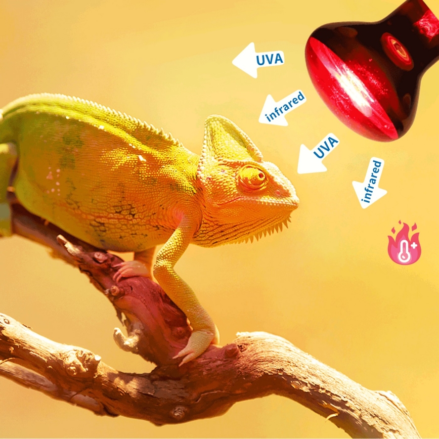 Bec infraroșu pentru terarii Nobleza E27/50W/230V IP54