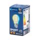 Bec LED Aigostar FILAMENT G45 E27/4,5W/230V 2700-6500K