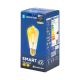 Bec LED Aigostar FILAMENT ST64 E27/6W/230V 2700-6500K