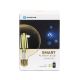 Bec LED dimabil Aigostar FILAMENT G125 E27/6W/230V 2700-6500K Wi-Fi