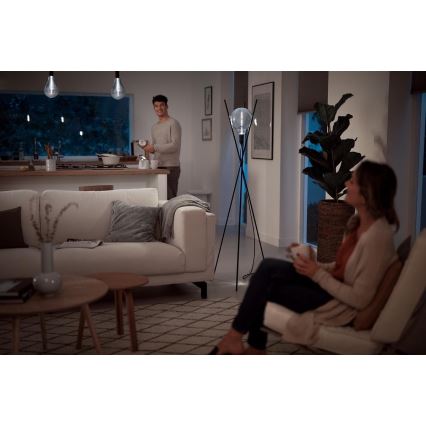 Bec LED reglabil SMOKY VINTAGE Philips E27/6,5W/230V 4000K