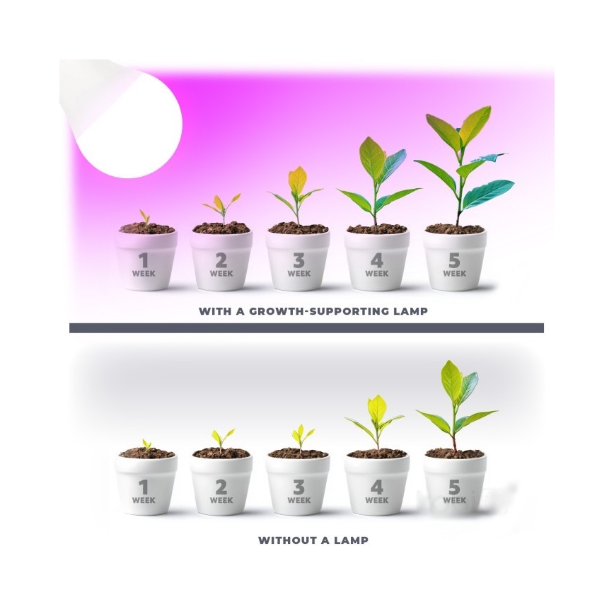 Bec LED pentru creșterea plantelor PLANTY E27/11W/230V 1200K alb