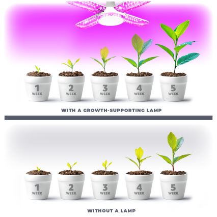 Bec LED pentru creșterea plantelor PLANTY E27/40W/230V 1200K