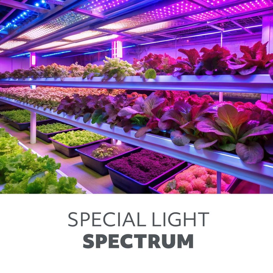 Bec LED pentru creșterea plantelor PLANTY E27/40W/230V 1200K