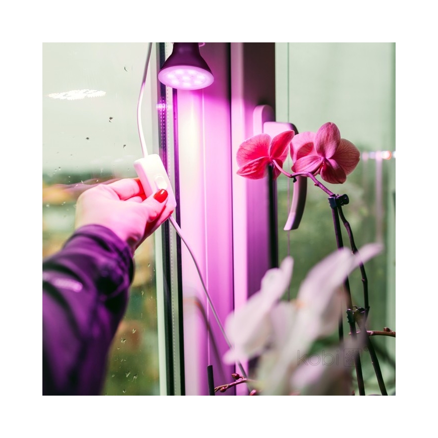 Bec LED pentru creșterea plantelor PLANTY E27/7W/230V 1200K negru