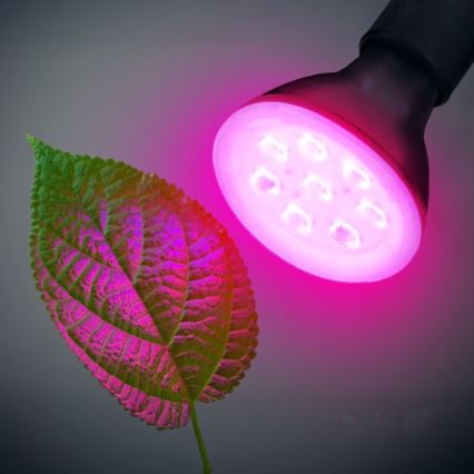 Bec LED pentru creșterea plantelor PLANTY E27/7W/230V 1200K negru