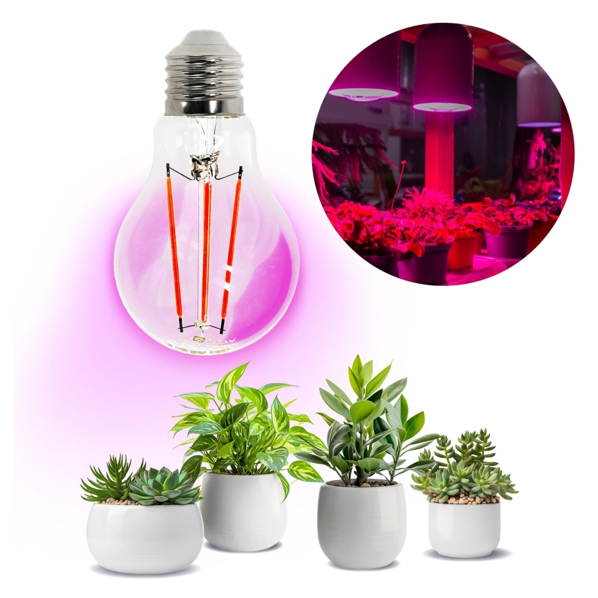 Bec LED pentru creșterea plantelor PLANTY E27/8W/230V 1200K