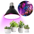Bec LED pentru creșterea plantelor PLANTY E27/9W/230V 1200K negru