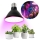 Bec LED pentru creșterea plantelor PLANTY E27/9W/230V 1200K negru