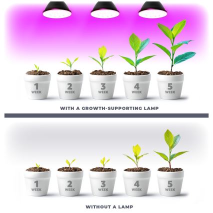 Bec LED pentru creșterea plantelor PLANTY E27/9W/230V 1200K negru