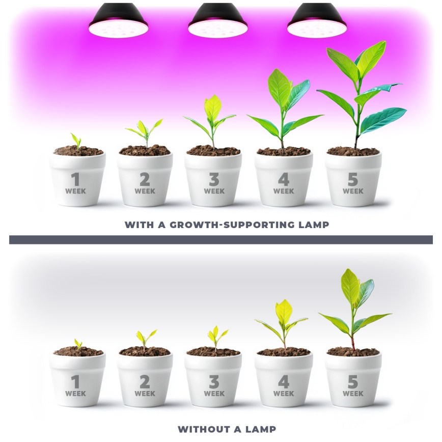 Bec LED pentru creșterea plantelor PLANTY E27/9W/230V 1200K negru