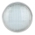 Bec LED pentru piscină LED/35W/12V IP68 6500K