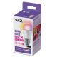 Bec LED RGBW dimabil WiZ P45 E27/4,9W/230V 2200-6500K CRI 90 Wi-Fi