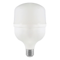 Bec LED T100 cu soclu E27, 30W, 230V, 6500K