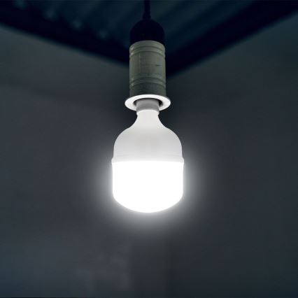 Bec LED T160, soclu E27, 60 W, 230 V, 6500 K